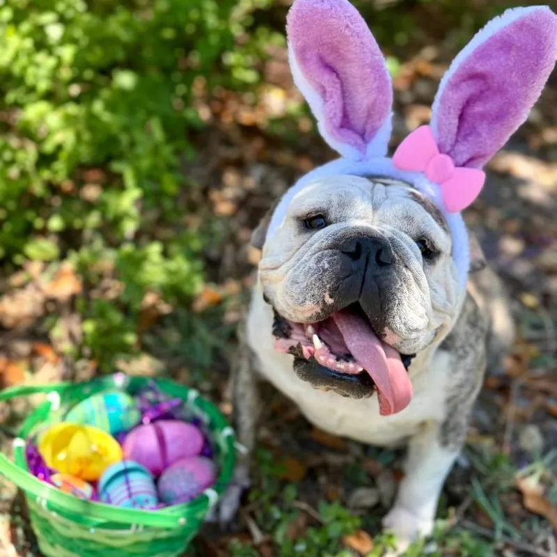 Minnie Pearl thumbnail 6