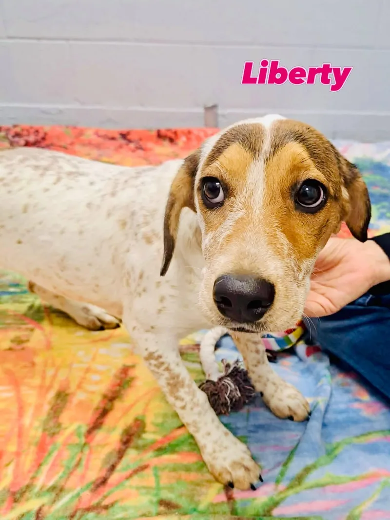 Liberty