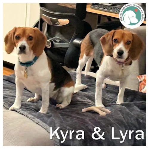Kyra And Lyra thumbnail 2