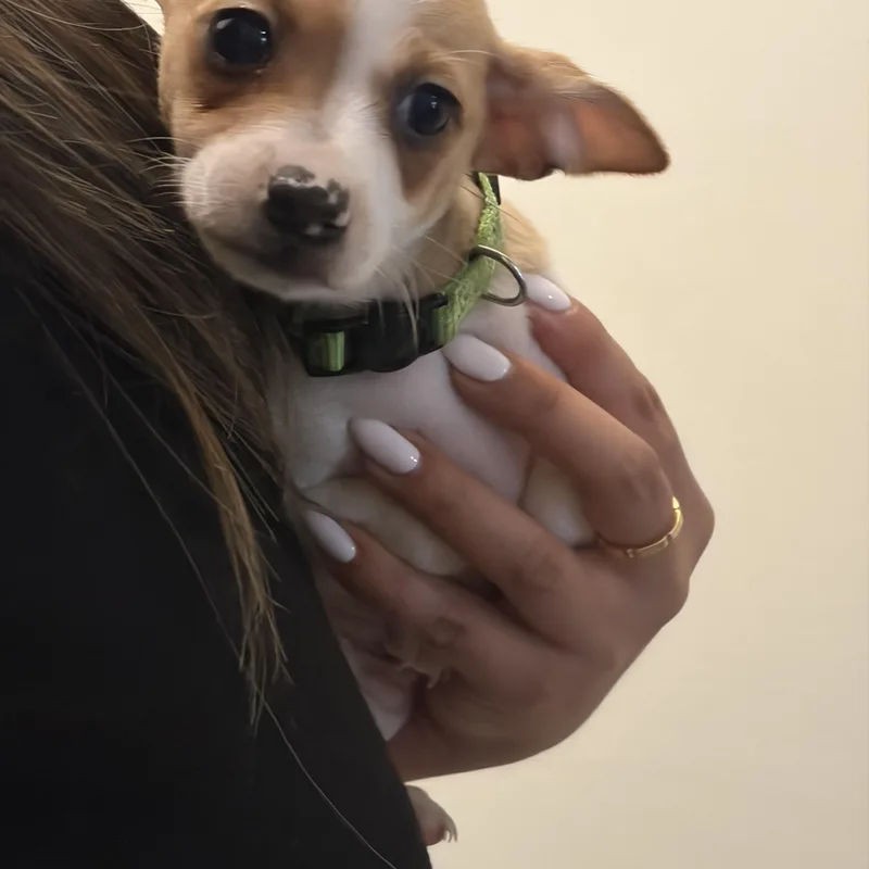 Lulu thumbnail 3