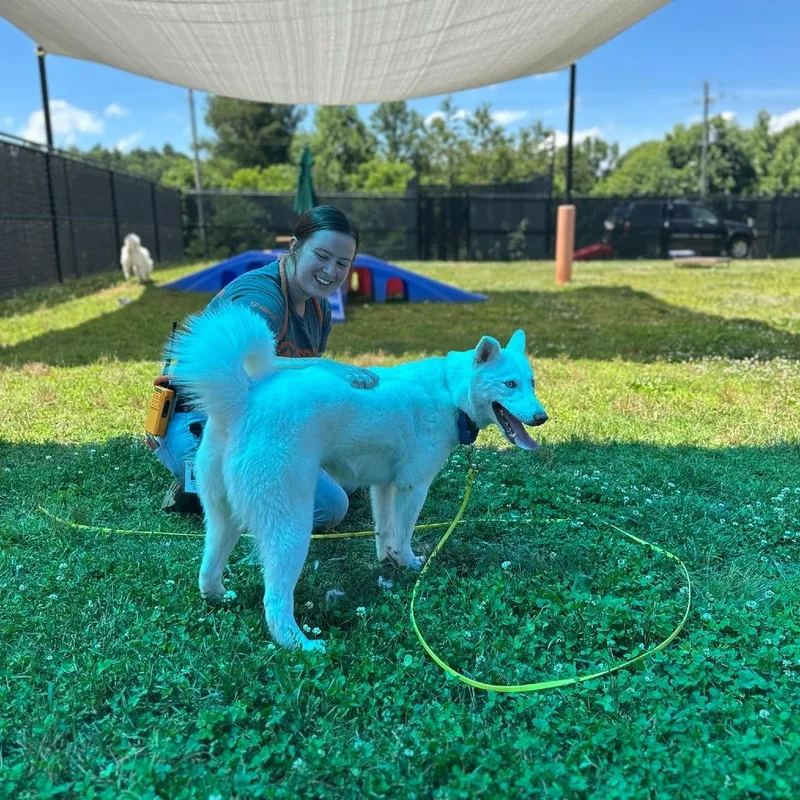 Cove thumbnail 3