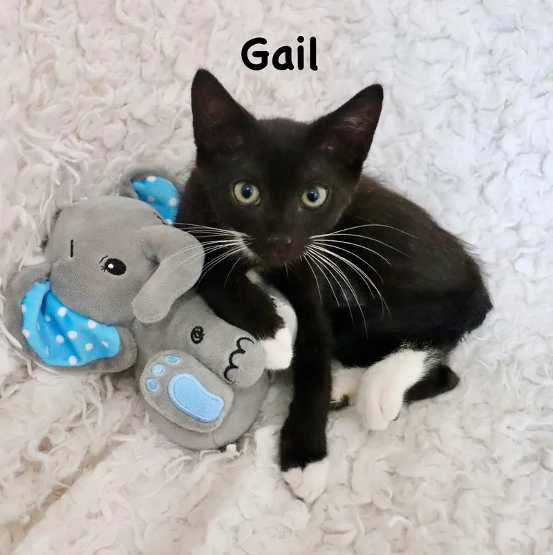 Gail thumbnail 6