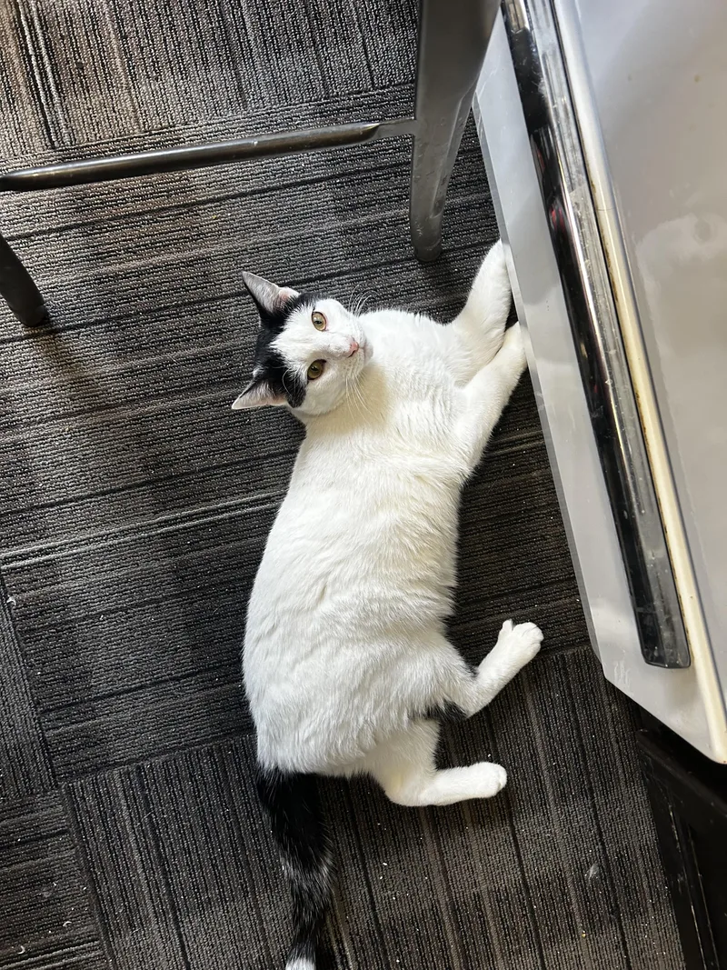 Electron thumbnail 2