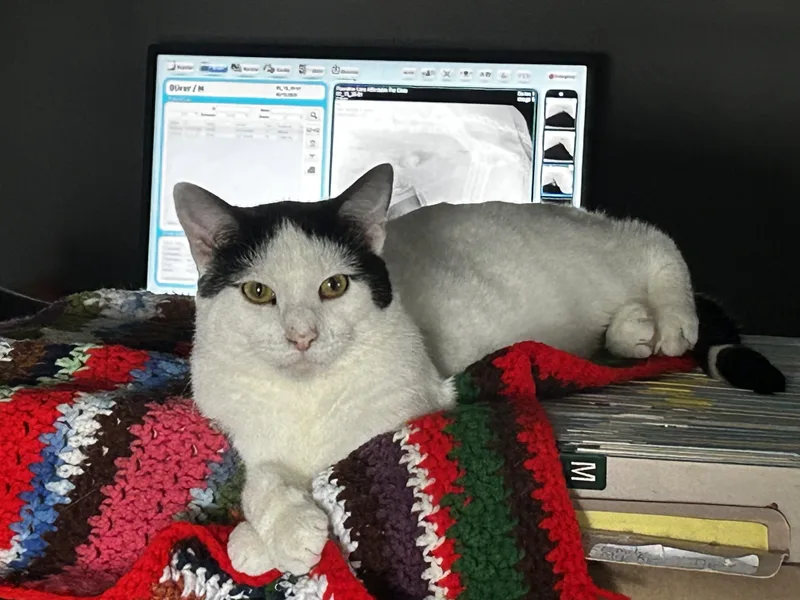 Electron thumbnail 3