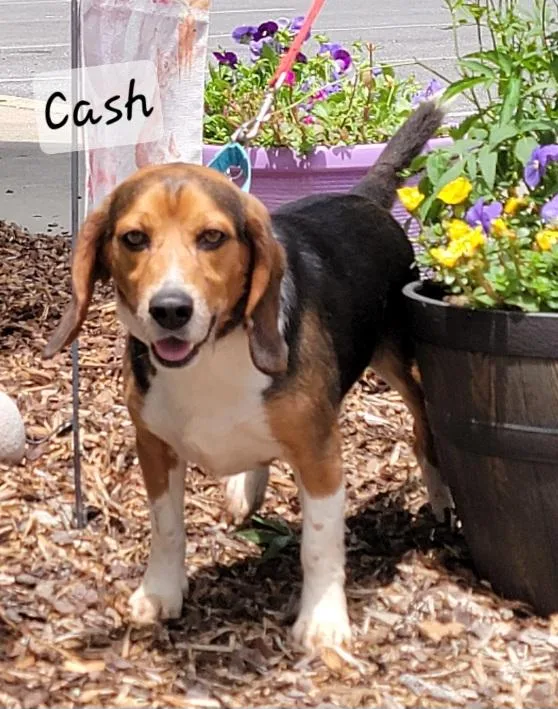 Cash thumbnail 4