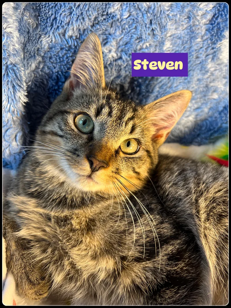 Steven And Misty thumbnail 4