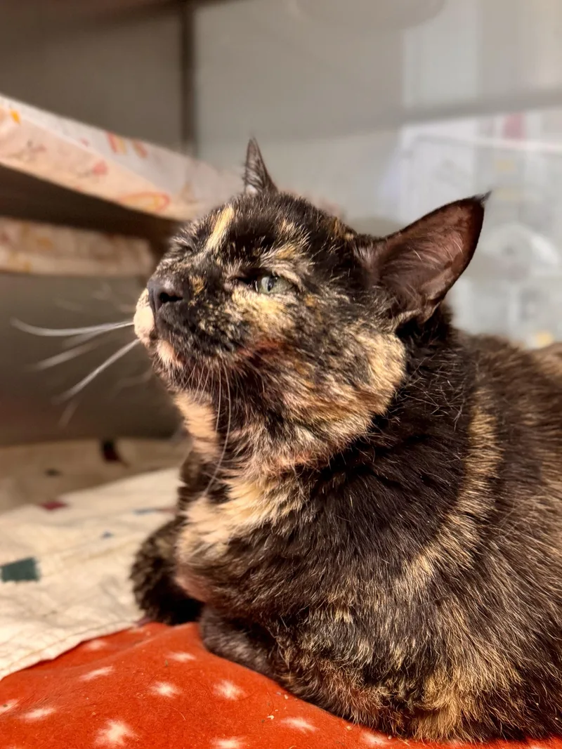 Winnifred thumbnail 3