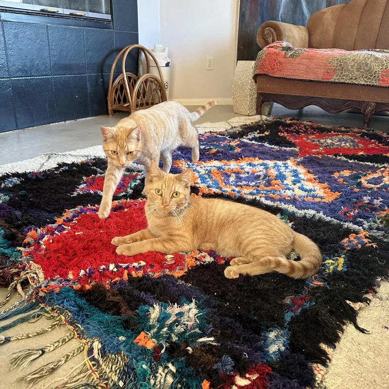 Garfield And John thumbnail 2