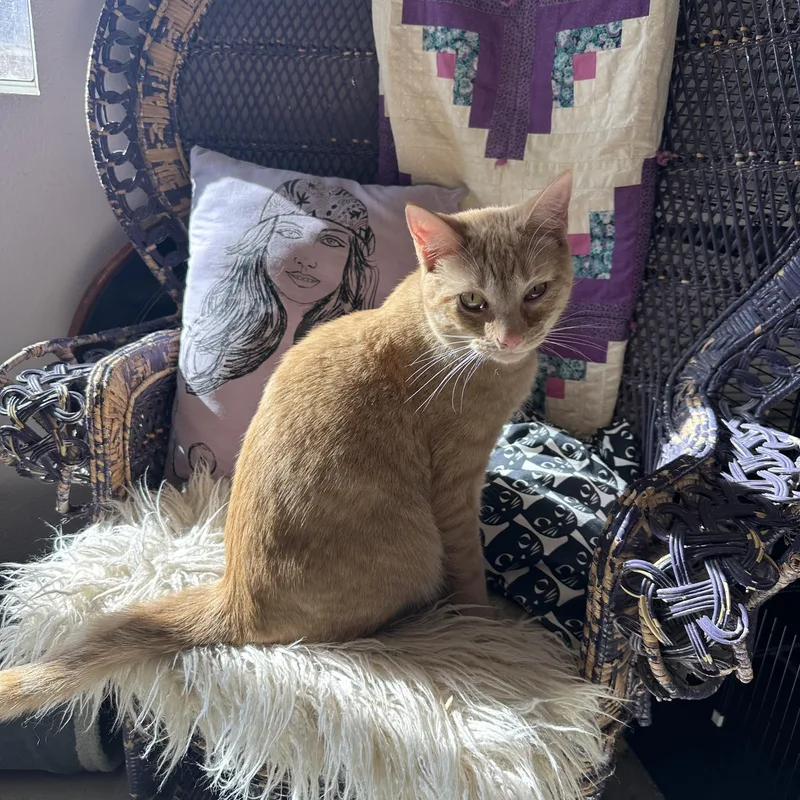 Garfield And John thumbnail 3