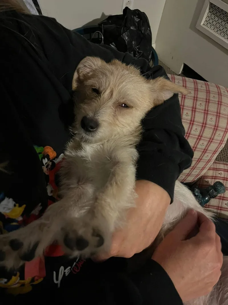 Winnie thumbnail 2