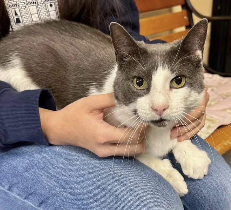 Benjamin thumbnail 2