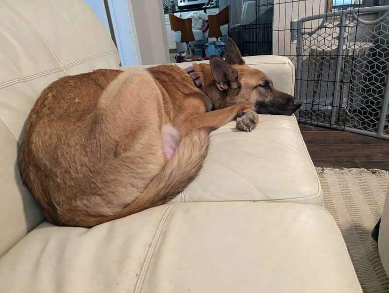 Merry Fka Pebbles  thumbnail 3