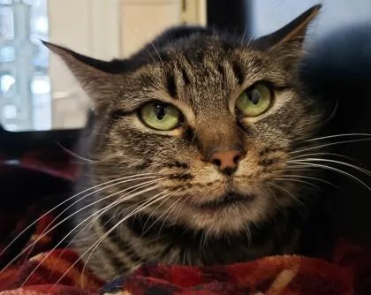 Mary Louise thumbnail 2