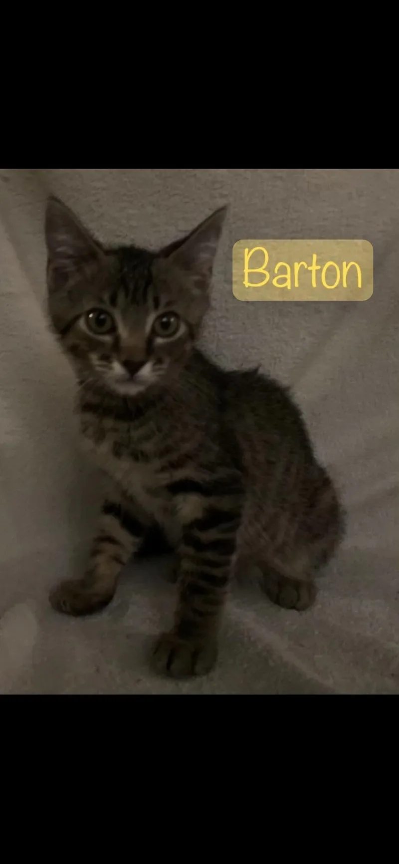 Barton thumbnail 2