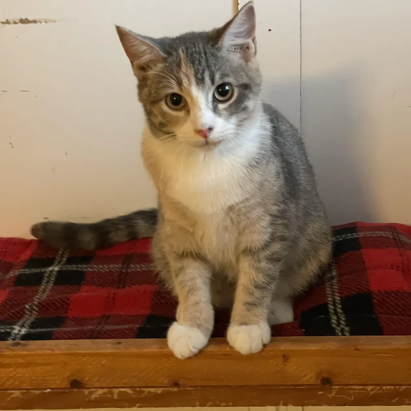 Genevieve thumbnail 5