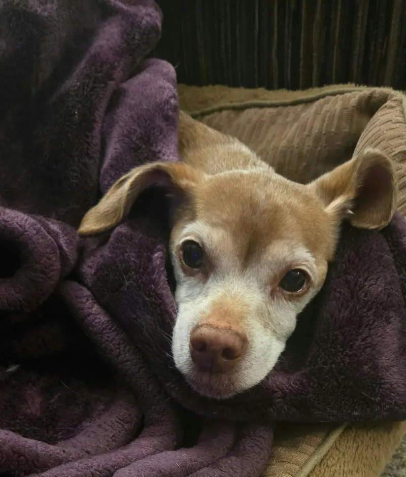 Lily Gayle thumbnail 3