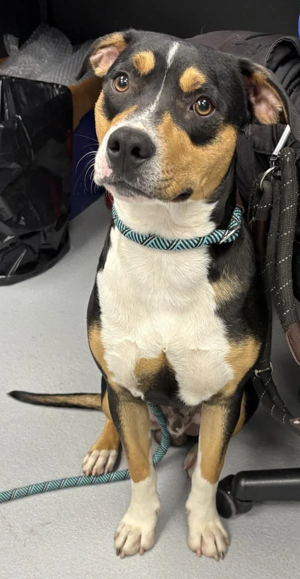 Prn  Marlo thumbnail 2