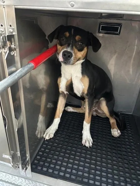 Prn  Marlo thumbnail 3