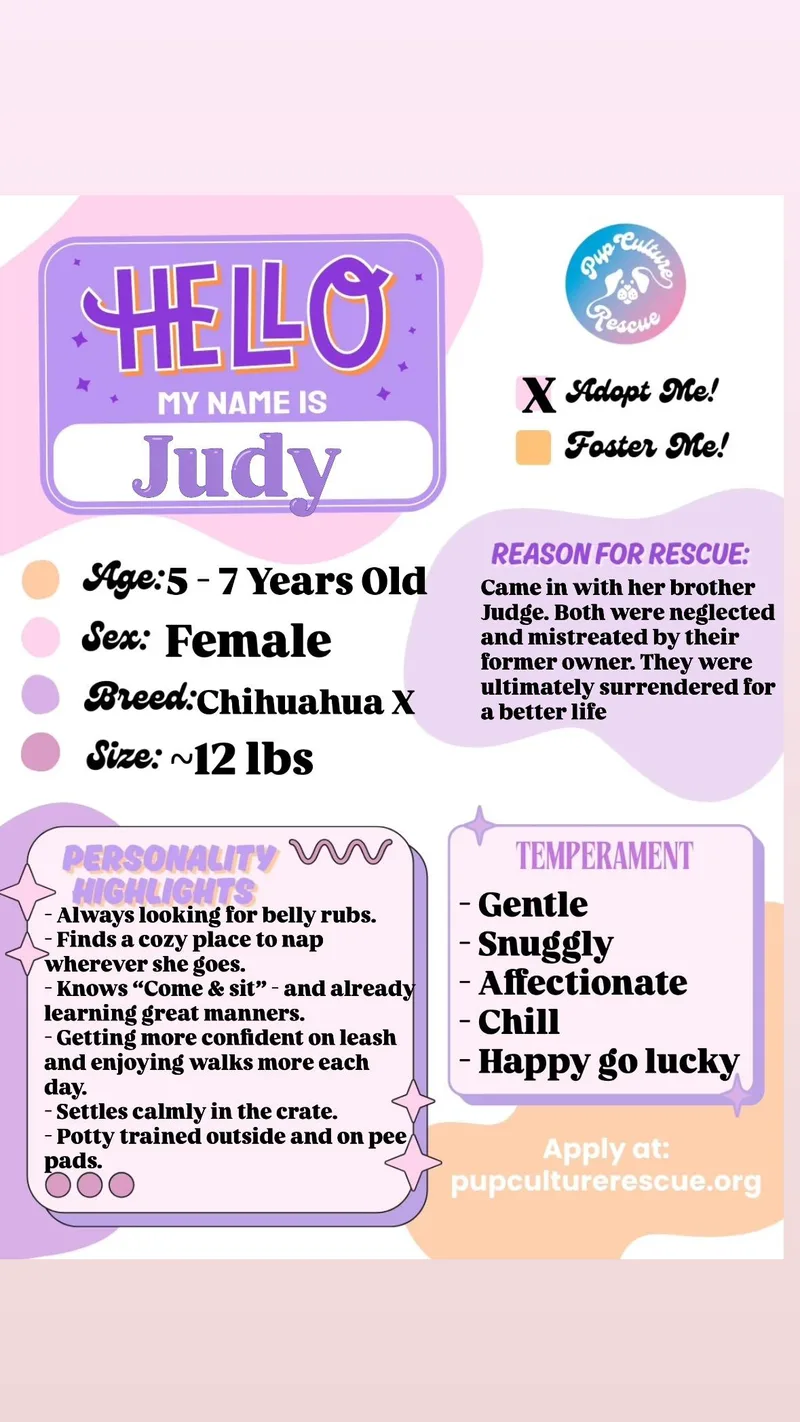 Judy
