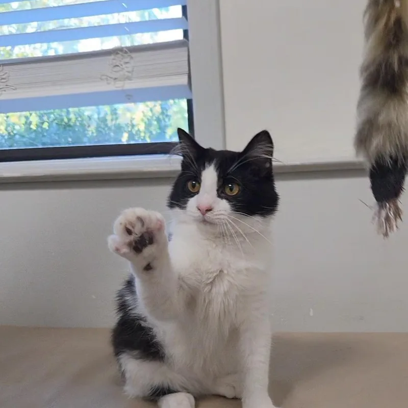 Deborah thumbnail 3