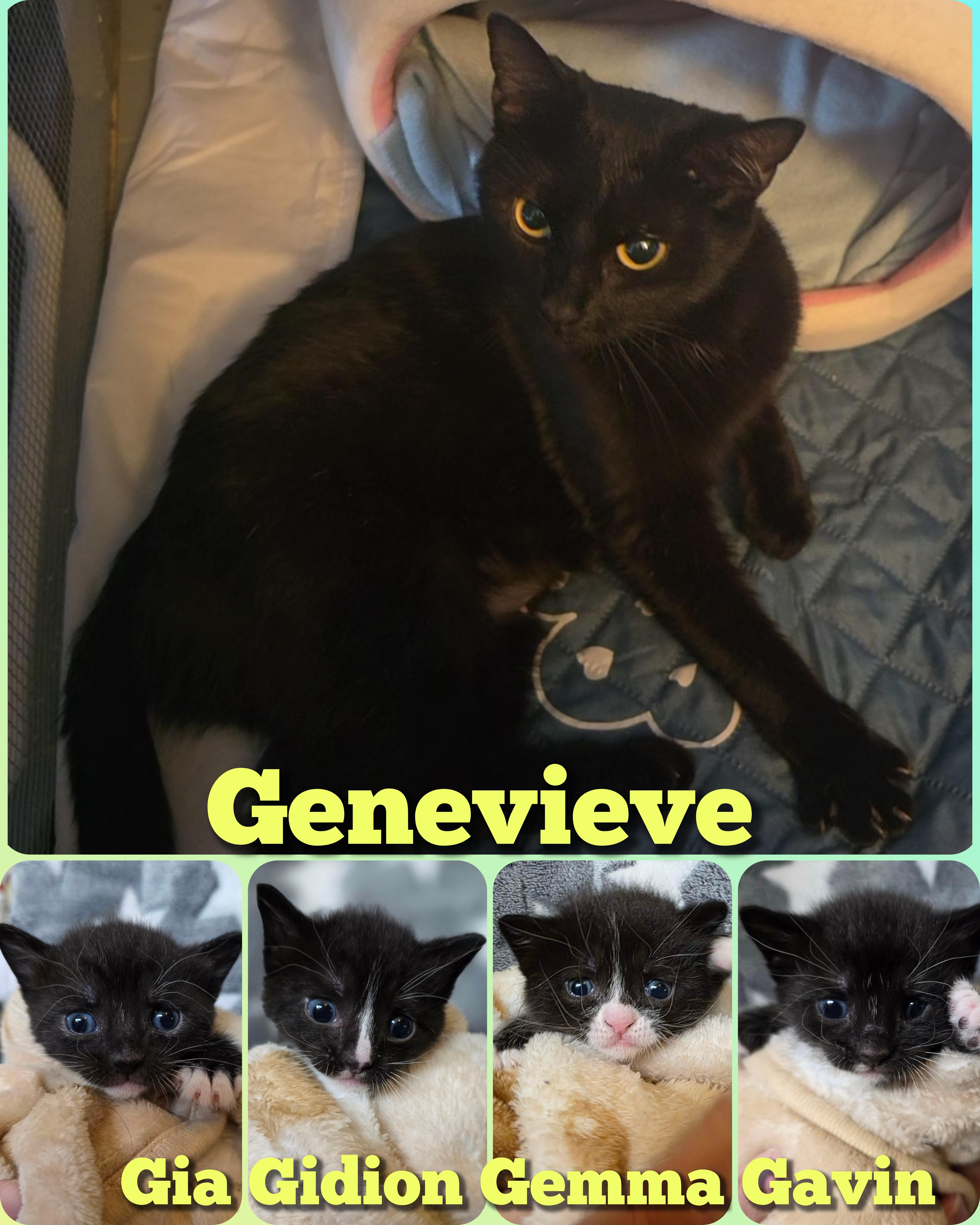 Genevieve thumbnail 2