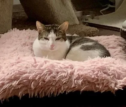 Mookie Mae thumbnail 2