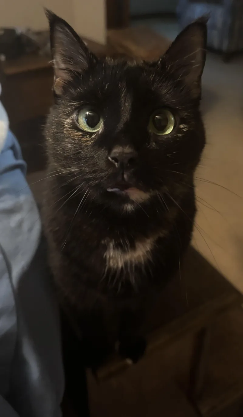 Hayley thumbnail 2