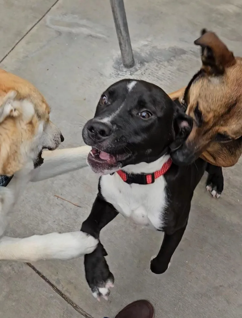 Luca Playing With Freckles thumbnail 2