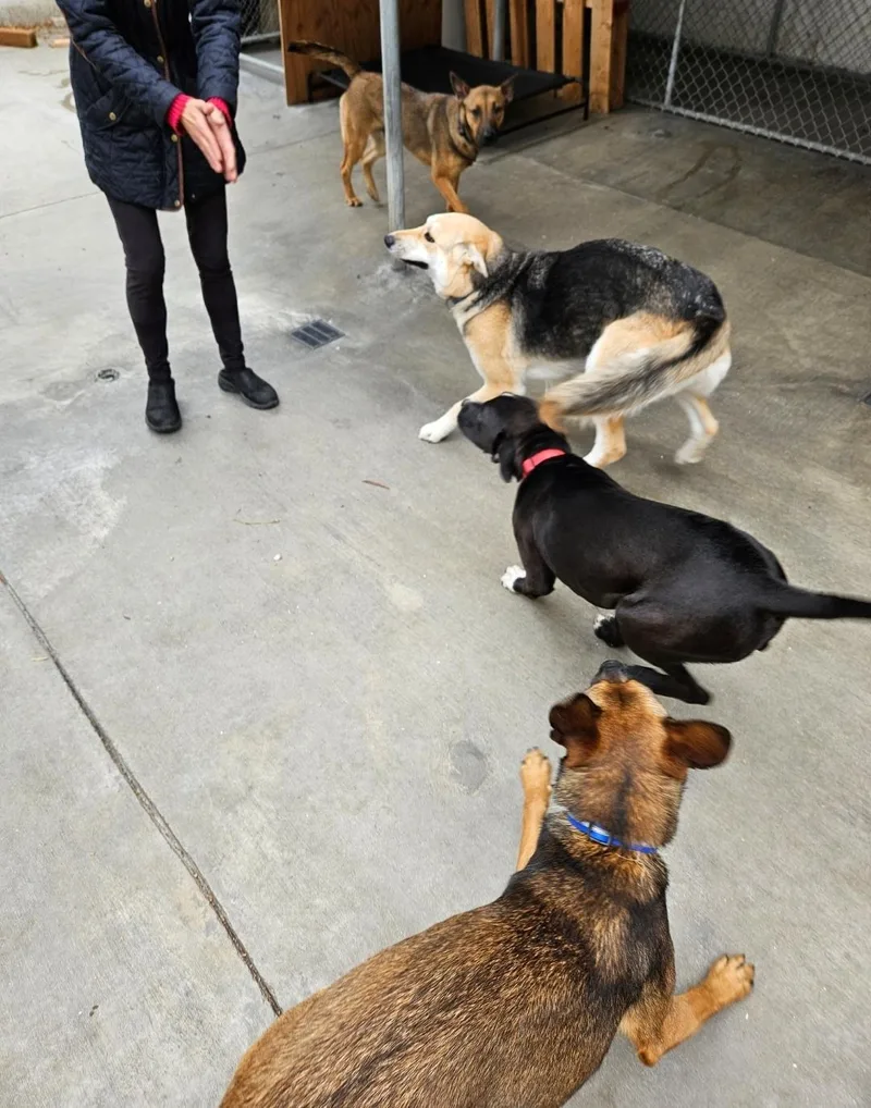 Luca Playing With Freckles thumbnail 3