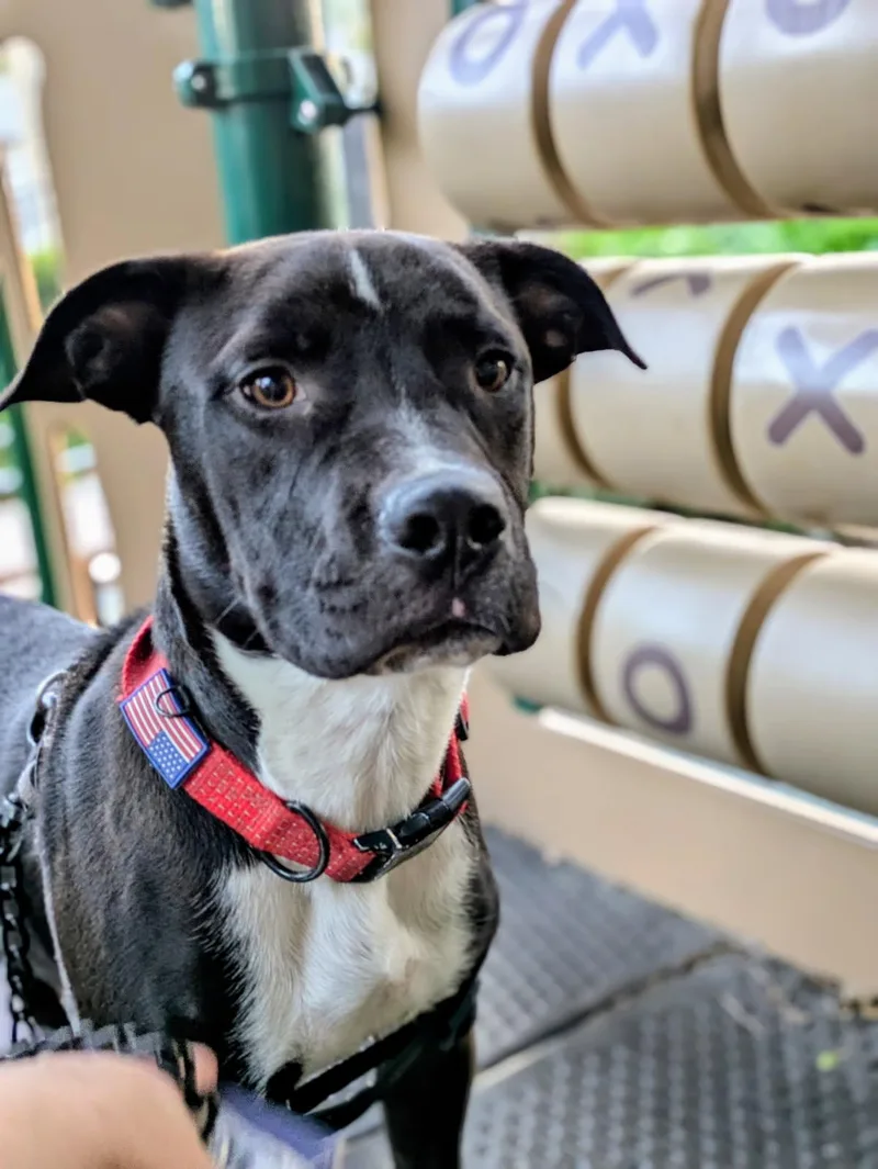 Luca Playing With Freckles thumbnail 4