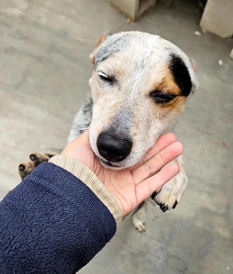 Luca Playing With Freckles thumbnail 5