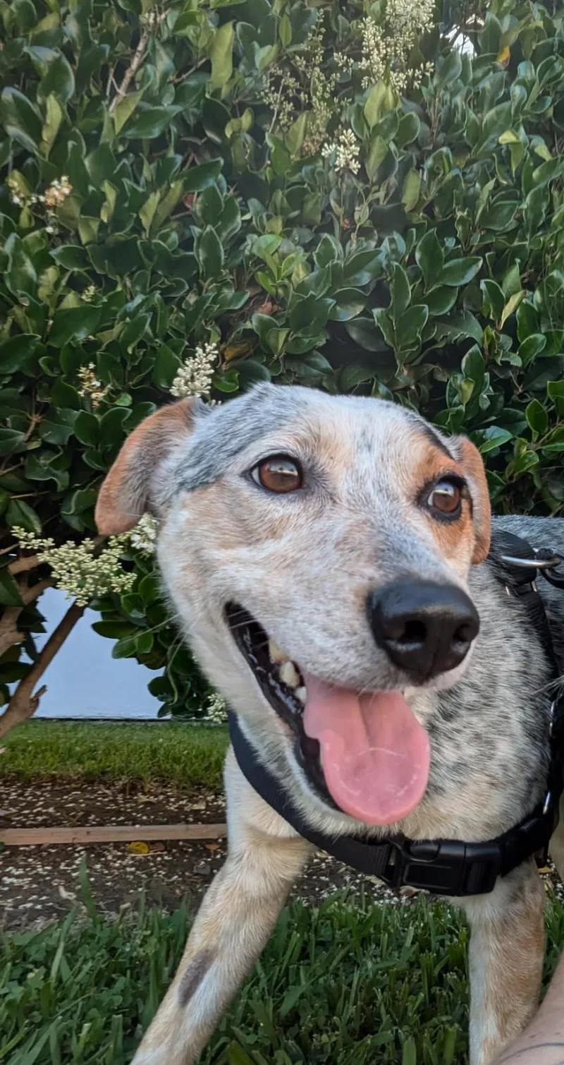 Luca Playing With Freckles thumbnail 6