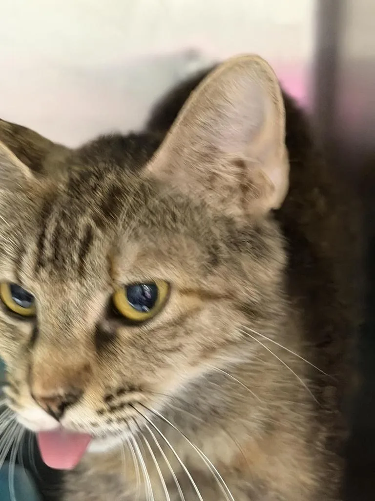 Sabrina
