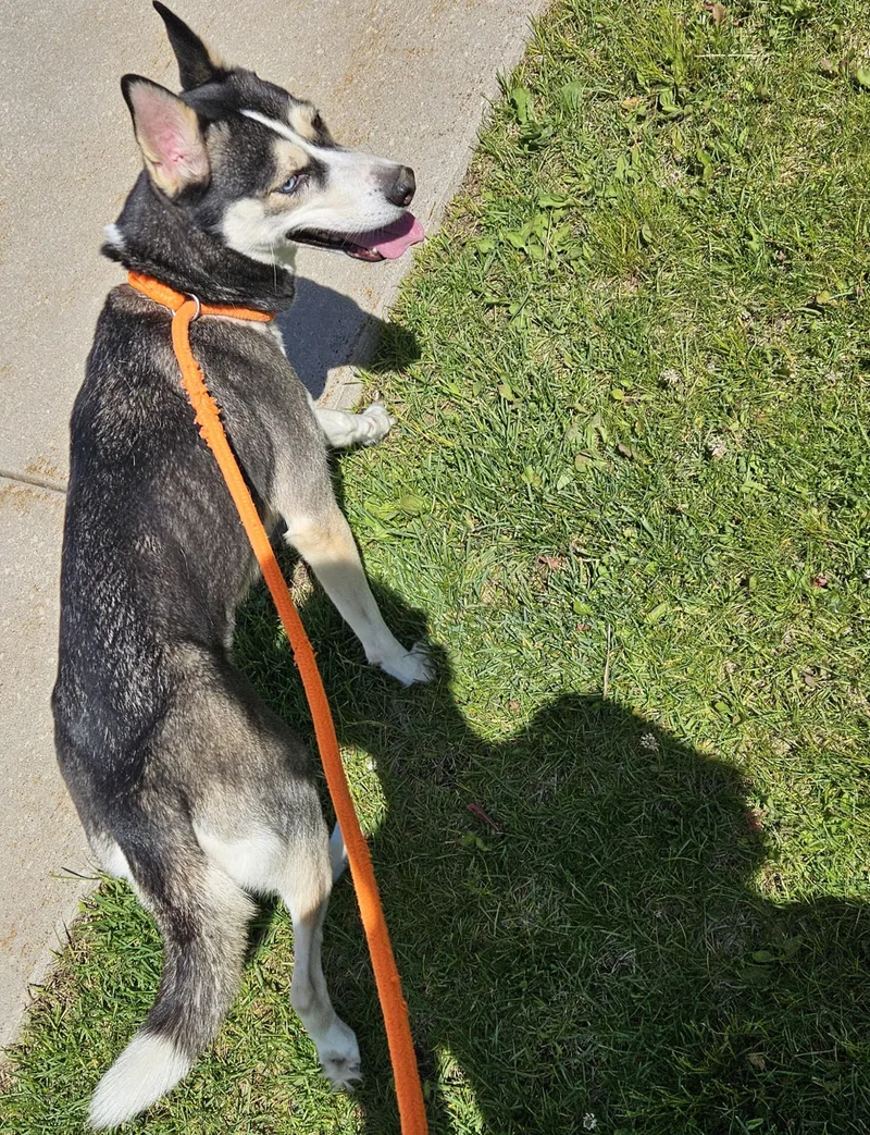 Maggie thumbnail 2