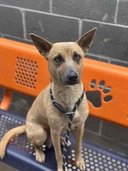 Sinnabun thumbnail 2