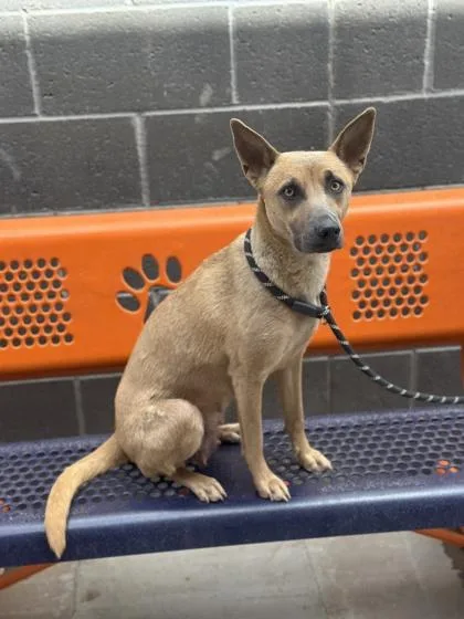 Sinnabun thumbnail 3