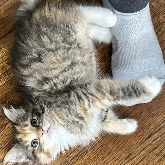 Ember Best Friends With