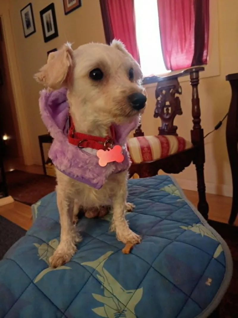 Gabby thumbnail 2