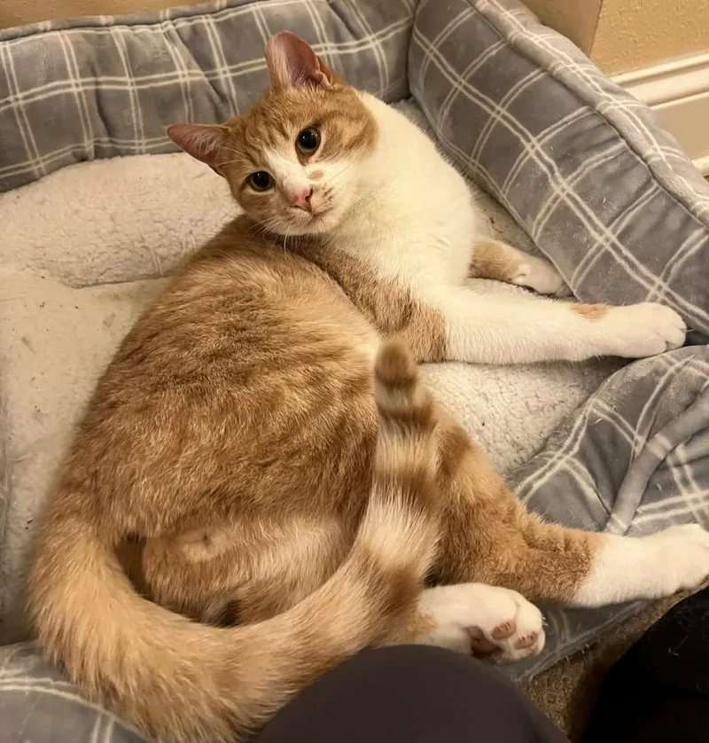 Colby Jak thumbnail 3