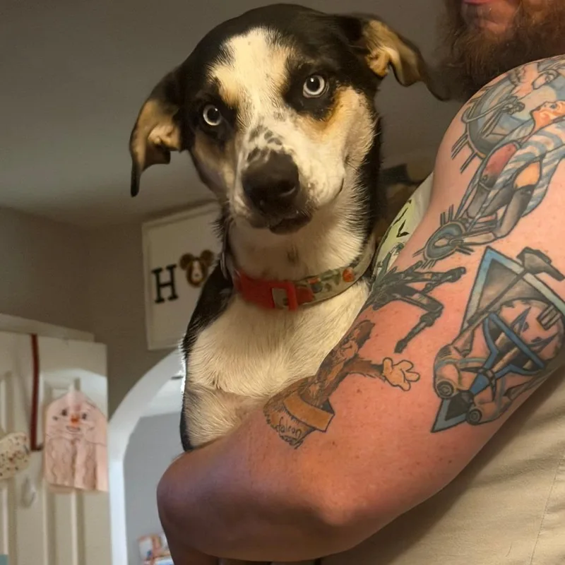 Minnie thumbnail 2
