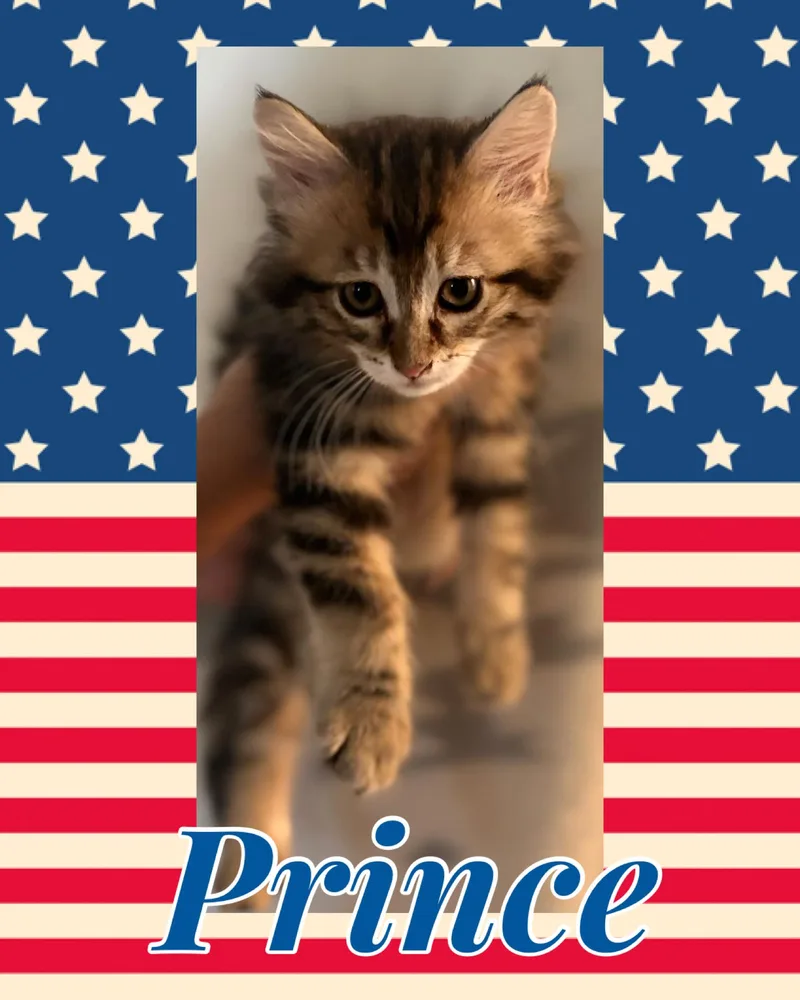 Prince