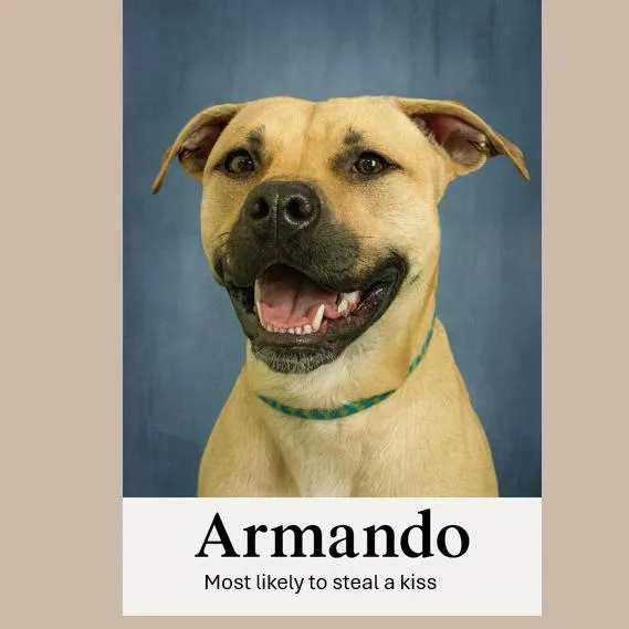 Armando thumbnail 5