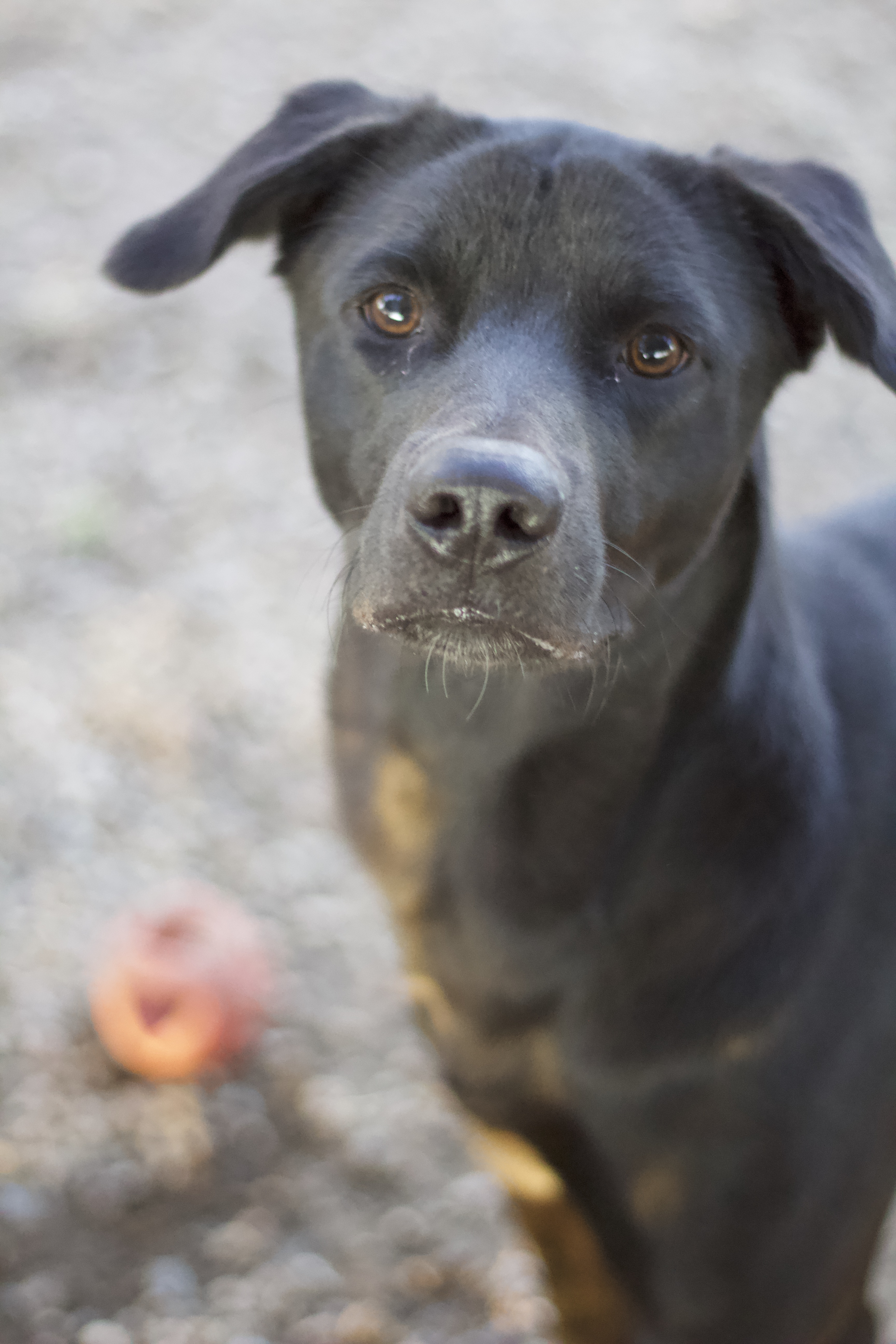 Valencia thumbnail 2