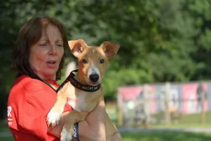 A baby medium-sized male Mixed Breed dog named Earl for adoption in West Chester, PA