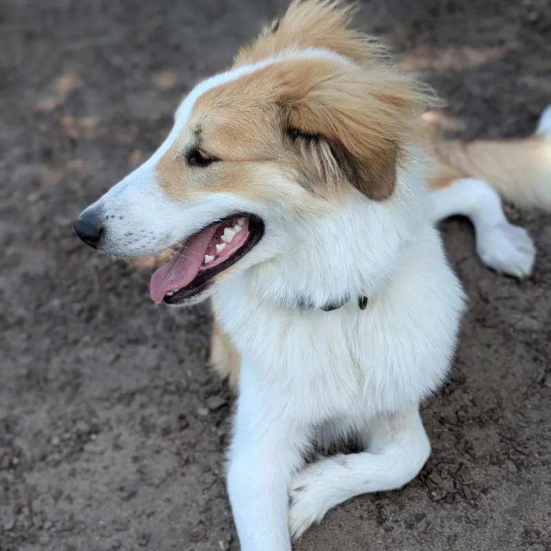 Murphy thumbnail 4