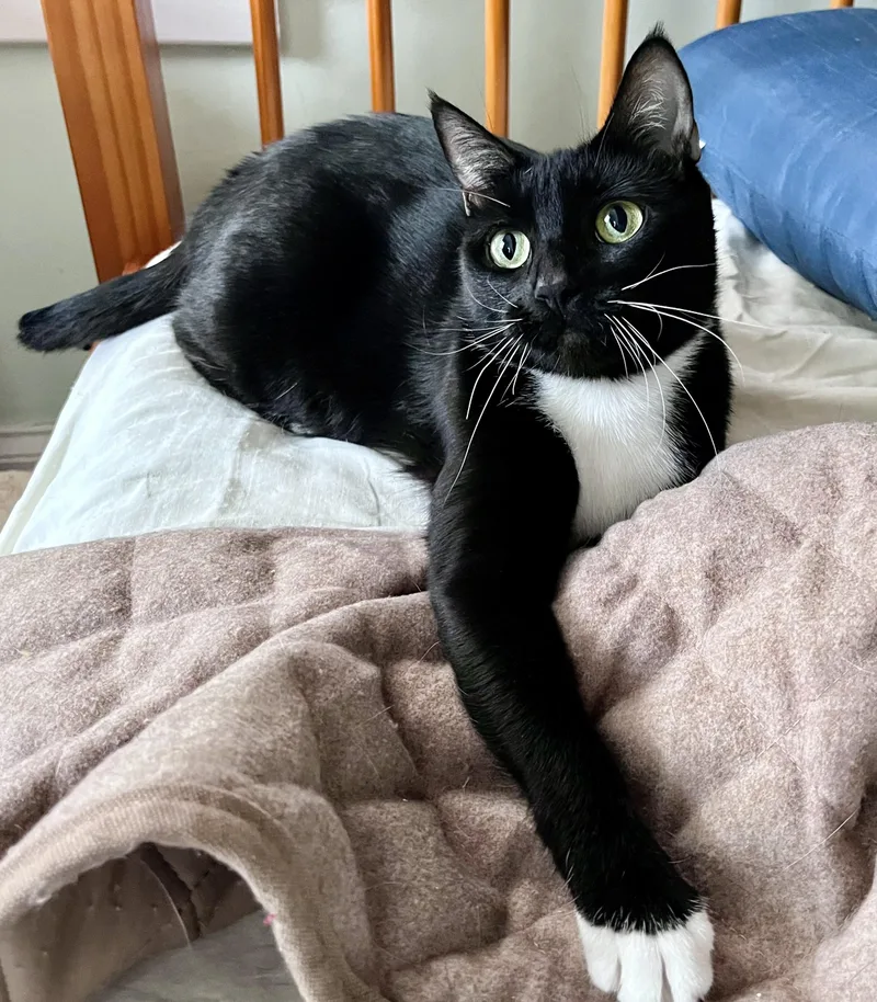 Mona Lisa thumbnail 4