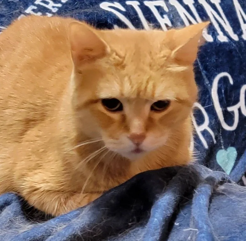 Bookworm Zoe thumbnail 2