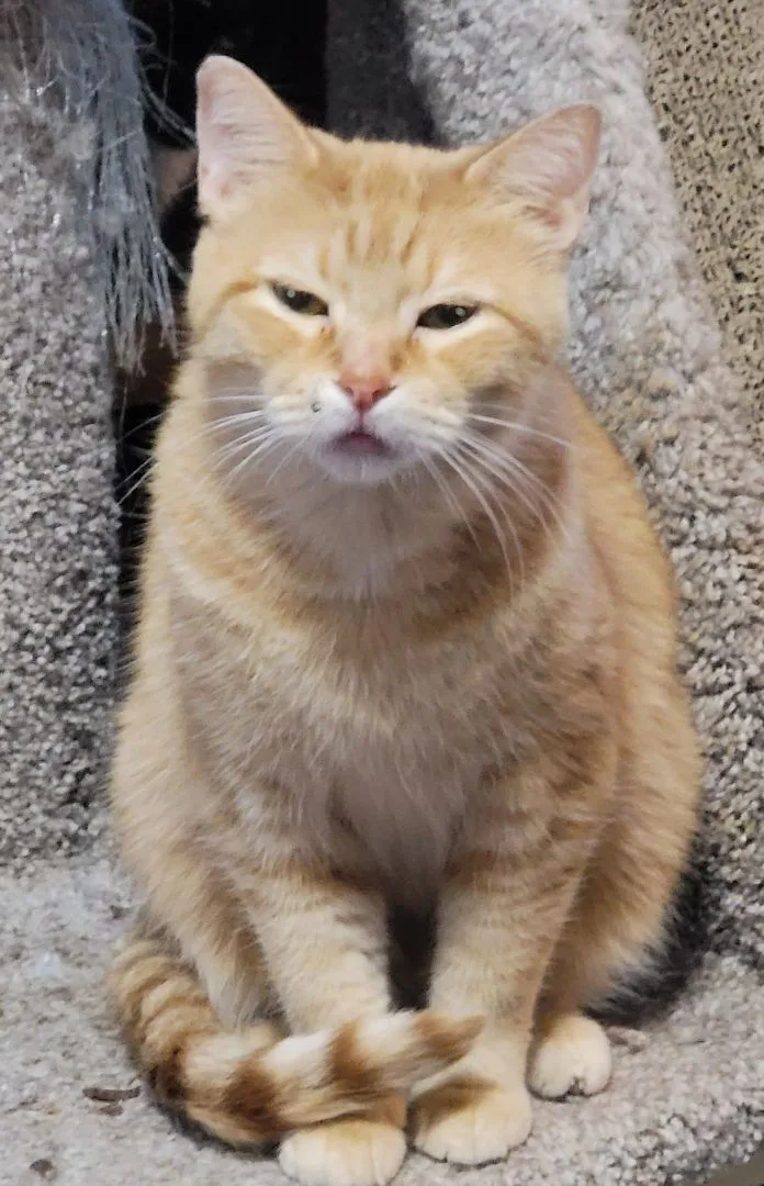 Bookworm Zoe thumbnail 3