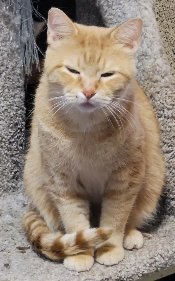 Bookworm Zoe thumbnail 5