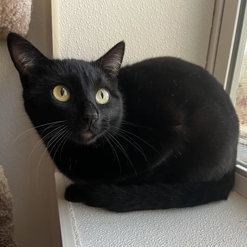 Spotlight thumbnail 3